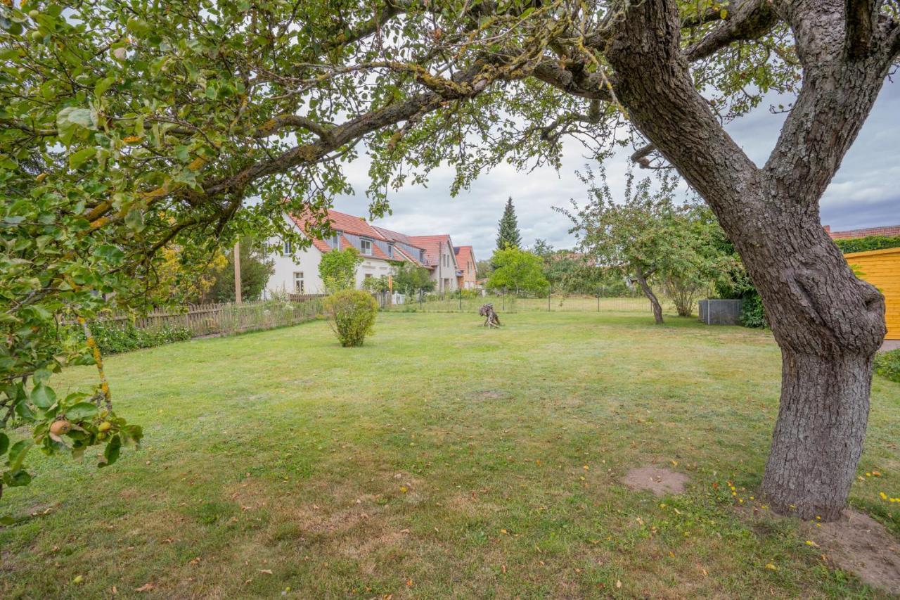 Ferienhaus "Seeadler" In Rankwitz Am Peenestrom Buitenkant foto