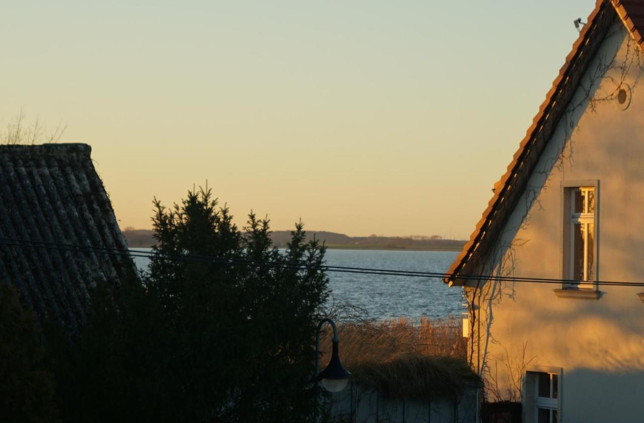 Ferienhaus "Seeadler" In Rankwitz Am Peenestrom Buitenkant foto