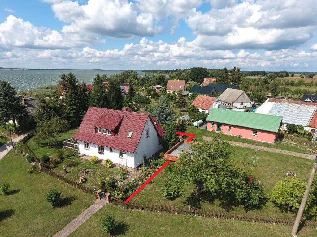 Ferienhaus "Seeadler" In Rankwitz Am Peenestrom Buitenkant foto